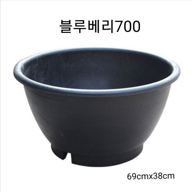 블루베리700 플라스틱화분 대형화분