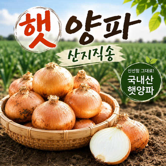 국내산 아삭한 햇양파 단단한 양파 산지직송, 1개, 대 10kg