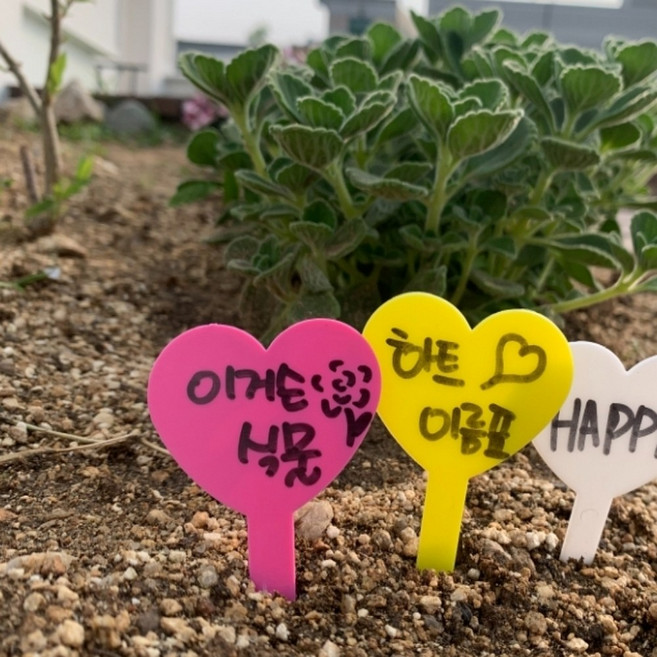 화분이름표 식물 이름표 푯말 20P 랜덤