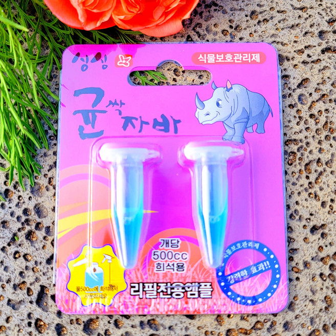 균싹자바 앰플 식물 천연살균제 탄저병 곰팡이균, 1개