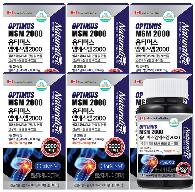 캐나다 옵티MSM 2000 OptiMSM MSM 엠에스엠, 60정, 6개