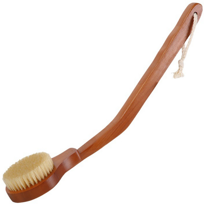 플러스투 커브형 돈모 바디 브러쉬 등 허리 배스솔, 1개, 브라운, 1개입