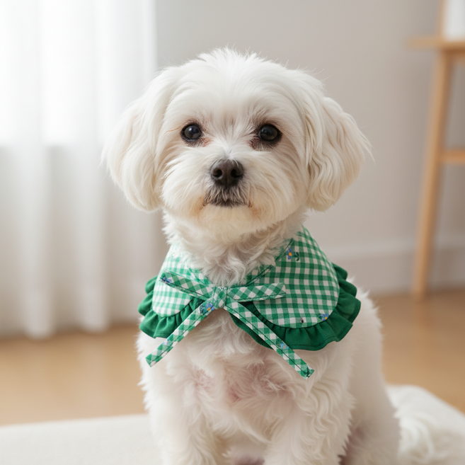 하니펫 반려동물 귀요미스카프 체크스카프 빕, 1개, 초록