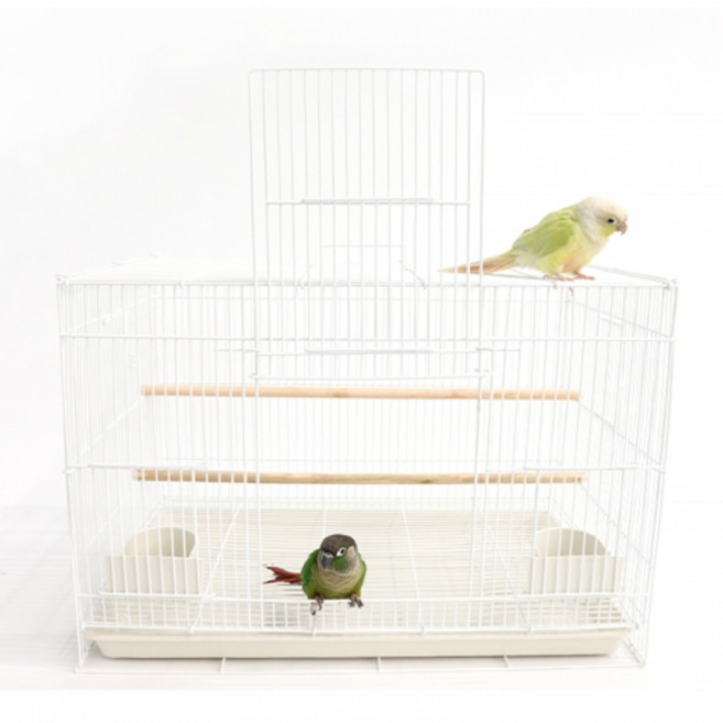 건강한 새장 무해 특수재질 프리미엄 503B 중소형 (블루)