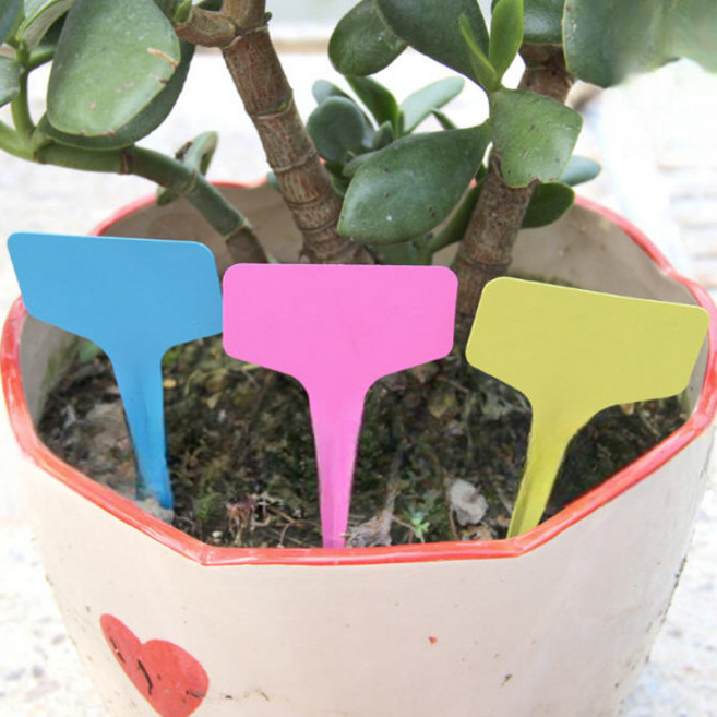 식물 화분이름표 100p, 상세페이지 참조