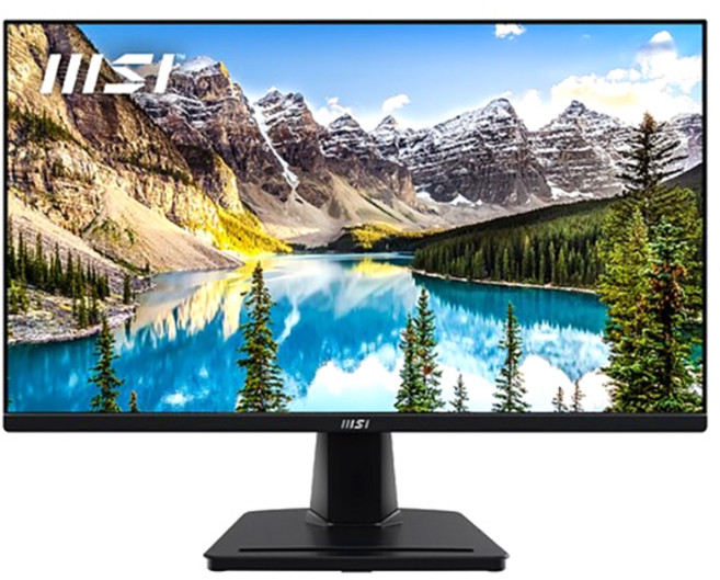MSI FHD IPS 100 아이에르고 무결점 모니터, 62.2cm, MSI MP251