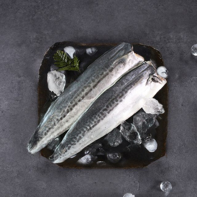제주직송 제주 삼치살 왕특, 2개, 1kg
