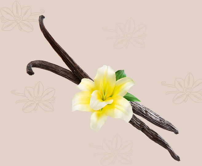 유몬 16cm UP 바닐라빈 버번 파푸아뉴기니산, 1개, 200g