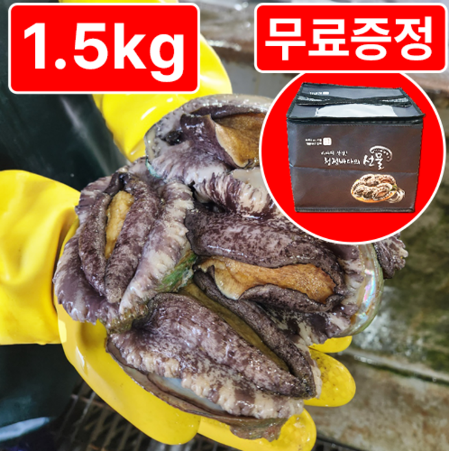[활전복 산지직송] 완도 직거래 전복선물세트 왕특대, 1개, 로얄(12-14미) 1.5kg