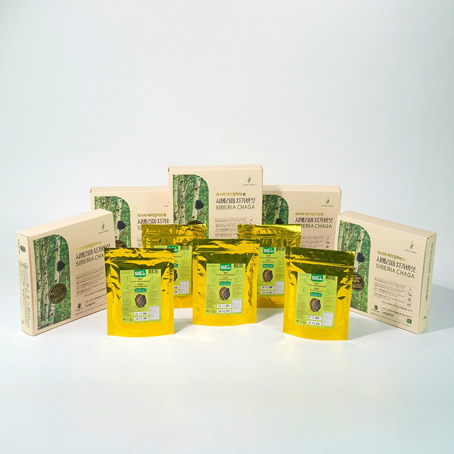 시베리아 차가버섯 최고등급 추출 분말 바이칼허브사 프리미엄 진품 바이칼라이프, 5개, 100g