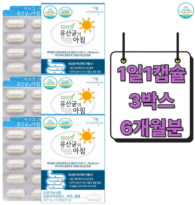 온 가족 청소년 중 고등 대학생 대학원생 엄마 아빠 할아버지 할머니 선물 유산균 증식 유해균 억제 도움 파마젠 유산균의 아침, 3박스, 60정