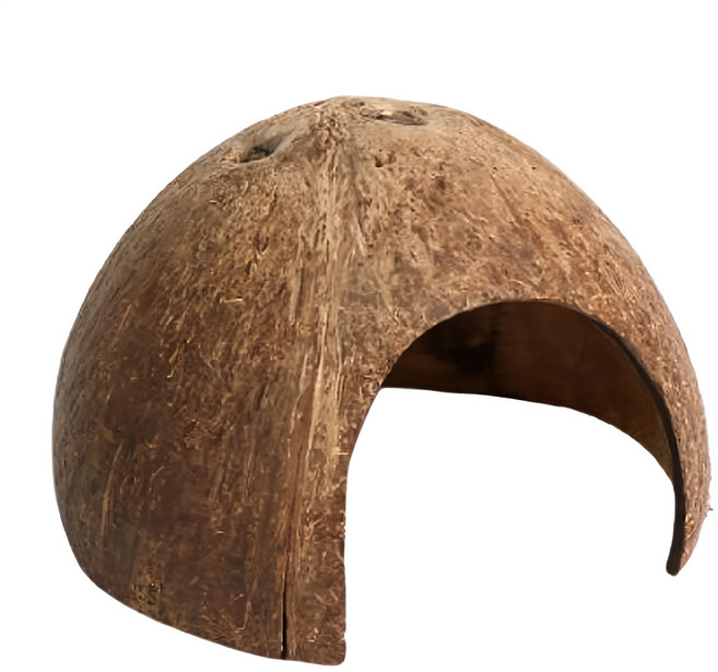 소동물 코코넛 은신처, 랜덤 발송, 1개