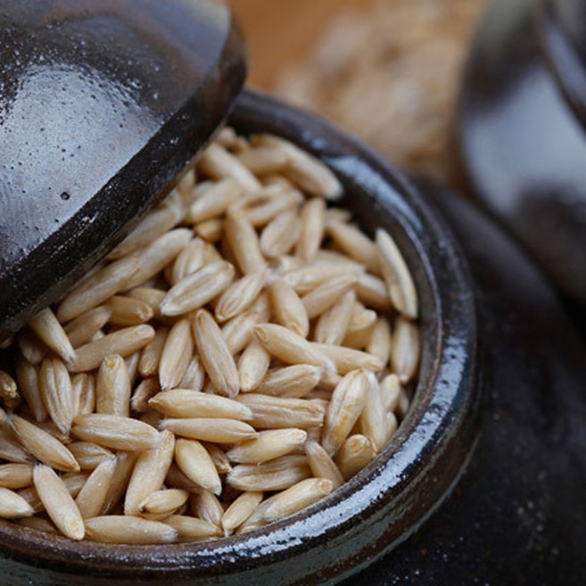 [2025년햇곡] 캐나다산 귀리, 10kg, 2개