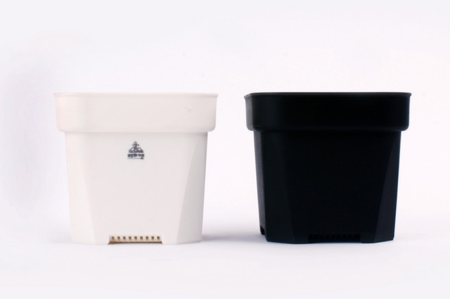 모두의가든 사각 플분 삽목 플라스틱 빈 프라스틱 화분, 화이트