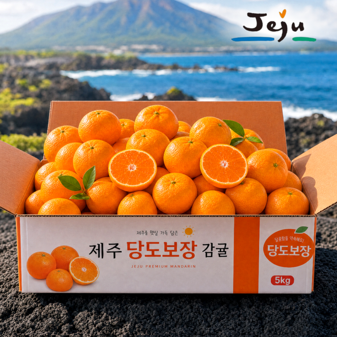 [서귀포농장직판] 11brix 당도선별 귤 제주 감귤 초특가, 1박스, 고당도 감귤 3kg