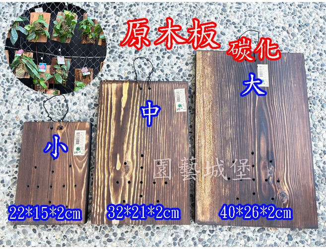 園藝城堡 原木碳化鹿角蕨上板 - 碳化木板多尺寸可選, 原色,中 (32*21*2cm), 1個