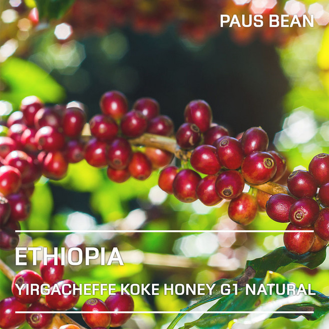 생두대빵 에티오피아 예가체프 코케허니 G1 내추럴 생두, 1개, 5kg