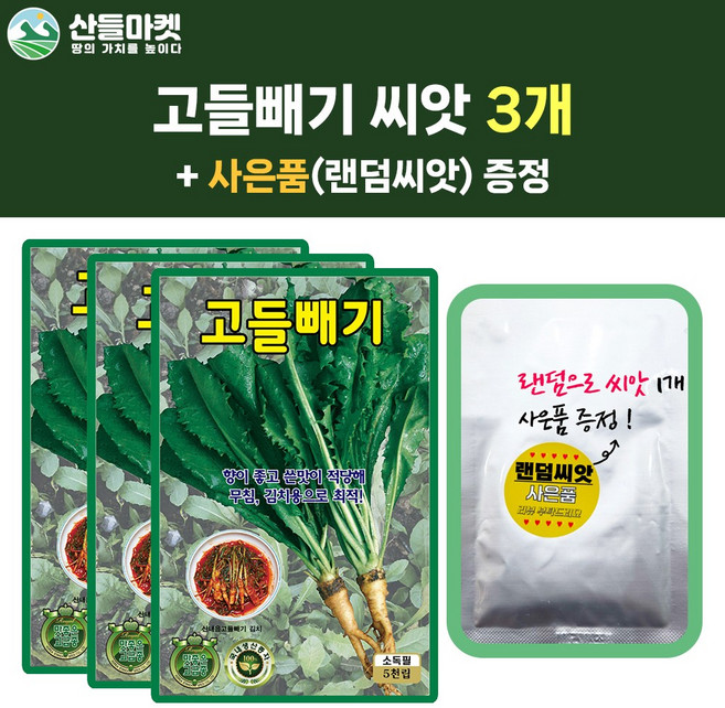 산들마켓 고들빼기 씨앗 5000립 고들빼기씨 3개+랜덤 씨앗 1개 증정