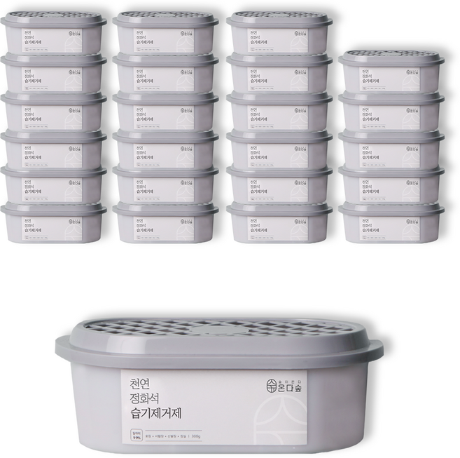 온다숲 반영구 천연제습제 습기제거제 정화석 탈취까지, 300g, 24개