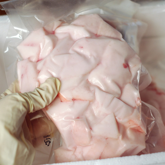 (생산공장 직송) 국내산 돼지비계 A지방 깍뚝썰기 / 돼지지방, 2개, 500g