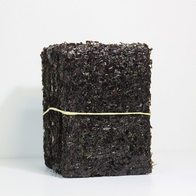 25년 햇곱창김 완도 곱창돌김 최상품 50장(블랙라벨)