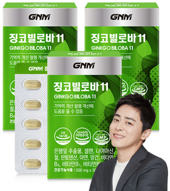 GNM 징코빌로바11 / 은행잎추출물 비타민B 아연 판토텐산, 30정, 3개