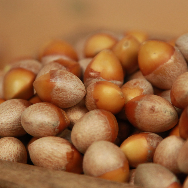 국내산: 순창군 강천골농원 깐은행 중 500g 무농약인증, 1개