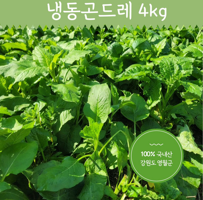 냉동 곤드레 4kg여리고 맛이좋은 산지직송 영월곤드레, 4kg, 1개