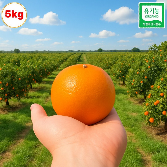 블랙라벨 유기농 힘썬 제주 하우스 감귤 제라진귤 초고당도, 5kg 로얄과