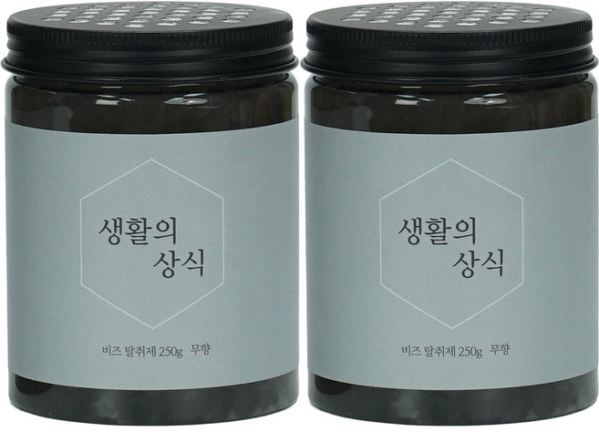 생활의상식 비즈 냄새제거 실내 탈취제, 250g, 2개