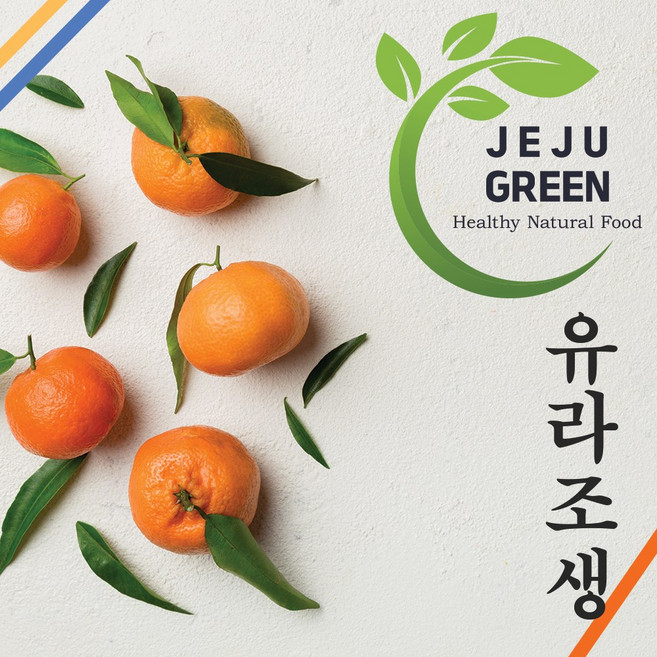 [제주그린] 산지직송 제주 유라조생 고당도 감귤, 1박스, 10kg