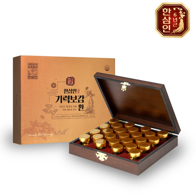 한삼인 [농협홍삼 한삼인] 기력보감 환 3.75g *25 1세트, 93.75g