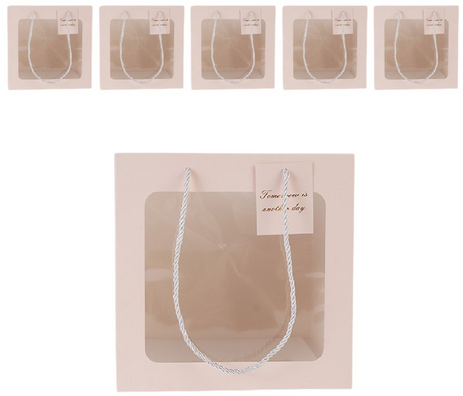 빛공 바닥넓은 정사각 투명창 윈도우 쇼핑백, 6개, 핑크