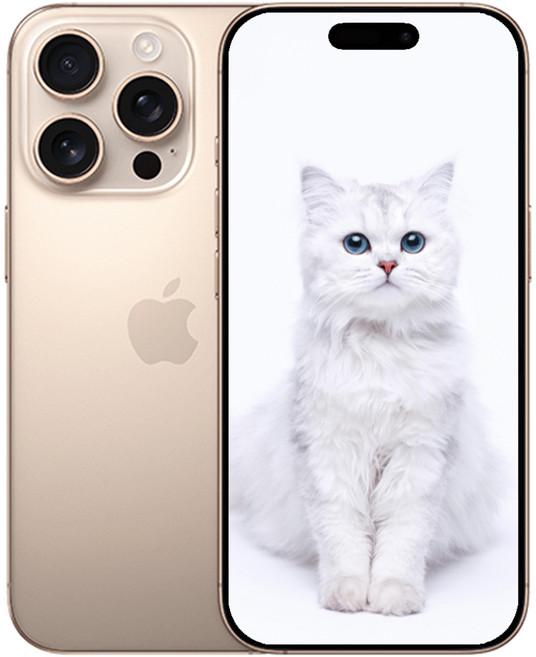 AIP 16 프로 새상품 미개봉, 256GB, 데저트 아이폰 16 Pro
