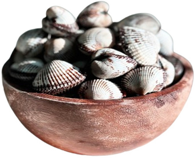 여수 새꼬막2kg 꼬막반찬 꼬막비빔밥 밥도둑 안주, 1개, 새꼬막2kg(4인반찬 중짜)키로100미