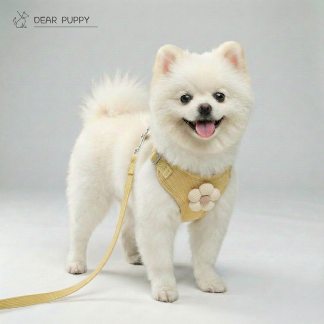 디어퍼피 플라워 하네스 가슴줄 리드줄 세트 산책줄 소형견 중형견, 프리지아