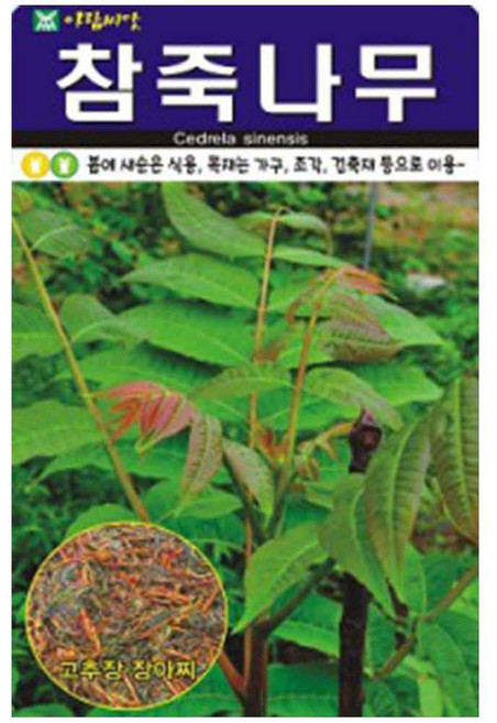 참죽나무 씨앗 500립 아람, 2개