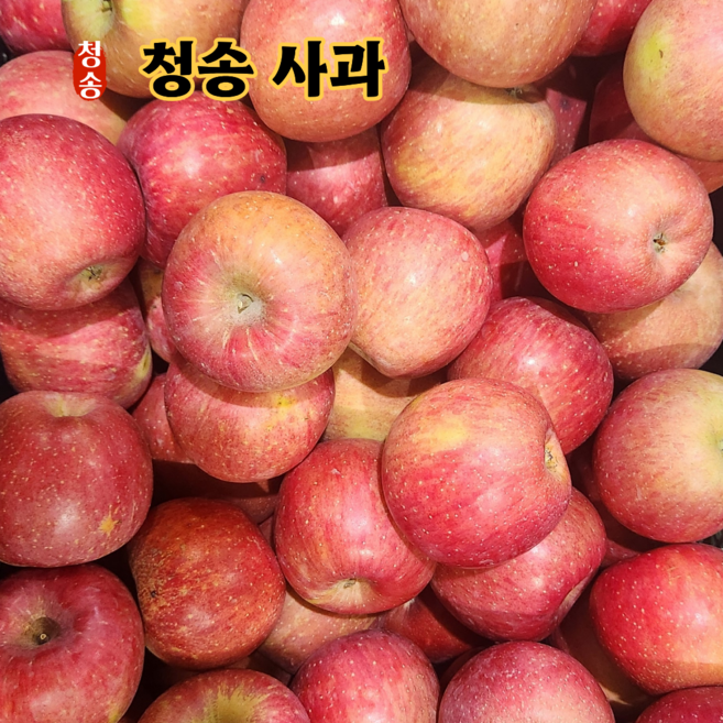 사과 당도선별 청송사과 고산지 부사사과, 1박스, 10kg (꼬마과) 혼합