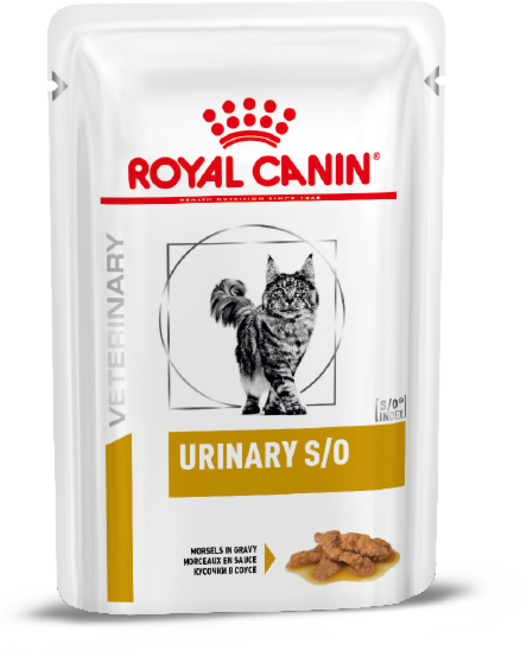 로얄캐닌 캣 유리너리 S/O 파우치 85g x 12개