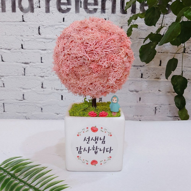 스칸디아모스 어버이날 스승의날 선물 공기정화식물 나무 액자 화분, 모스 빅큐브 선생님 감사 트리-핑크, 1개