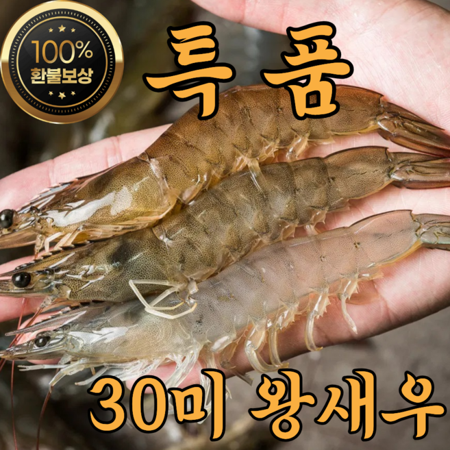 6위 - 산지직송 생새우 활 흰다리새우, 1박스, 특품 1kg(35미 내외)