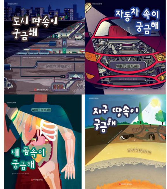 [와이즈만북스] 호기심그림책 궁금해 시리즈 세트 (전 4권)