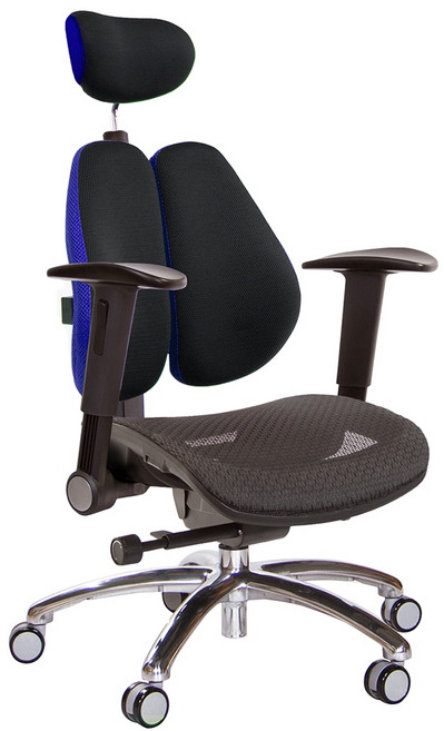 GXG 高雙背工學電腦椅 TW3076 LUA1, 黑面藍