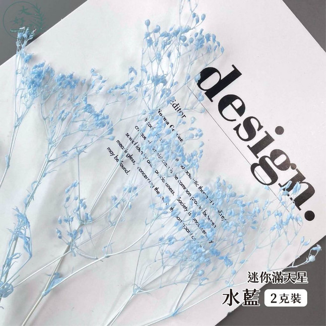 大好屋 迷你滿天星 永生花乾燥花材 DIY手作拍攝道具, 迷你滿天星, 水藍