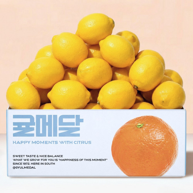 껍질째 먹는 무왁스 제주 레몬 산지직송, 5kg, 1박스