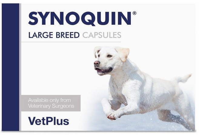 벳플러스 vetplus 시노퀸 사이노퀸 대형견 120 태블릿캡슐 반려견 관절 건강 영양제, 1개