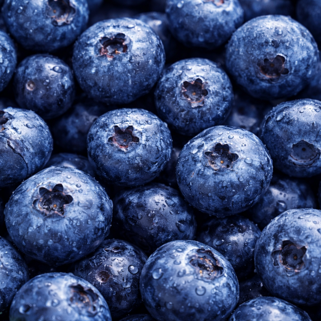 [한정특가]국내산 프리미엄 생 블루베리, 4개, 100g