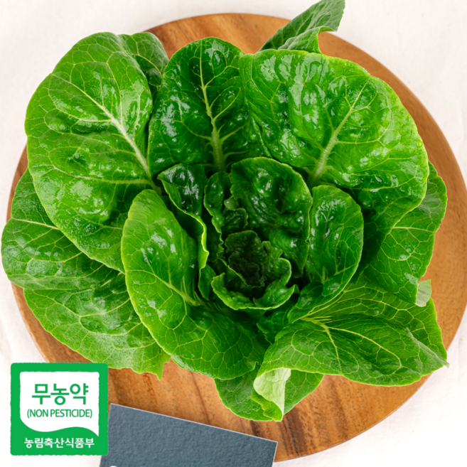[무농약 미니로메인] 로메인 통로메인 유럽상추 유러피안샐러드 샐러드야채 샐러드채소 쌈채소 샐리의식탁, 2kg, 1개