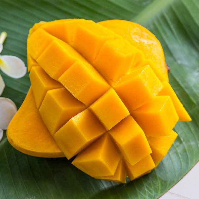 호텔납품용 프리미엄 태국 망고 골드망고 선물세트, 1박스, 4kg(12과수 내외)