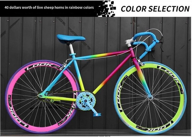 초경량 싱글기어 자전거 픽시 입문용 브레이크 포함 등하교 출퇴근, 레인보우, 1개, 165cm